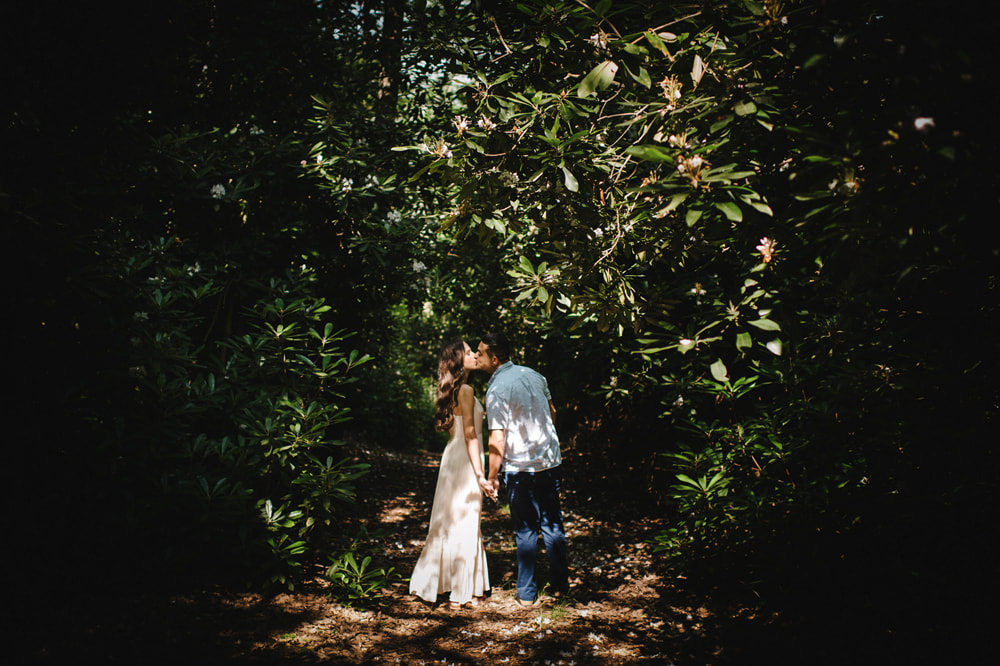 Pocono Engagement Session